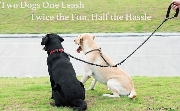 Dual Dog Leash