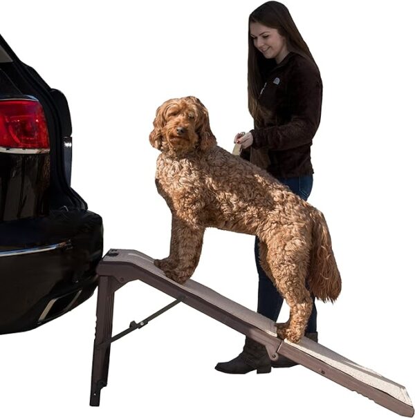 Free Standing Pet Ramp